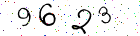 captcha-img